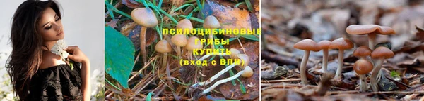 меф Алзамай