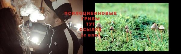 соль ск Алексеевка