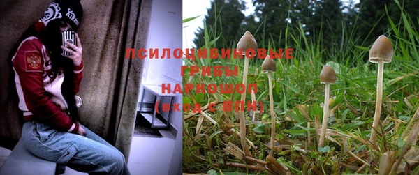 амф Нефтегорск