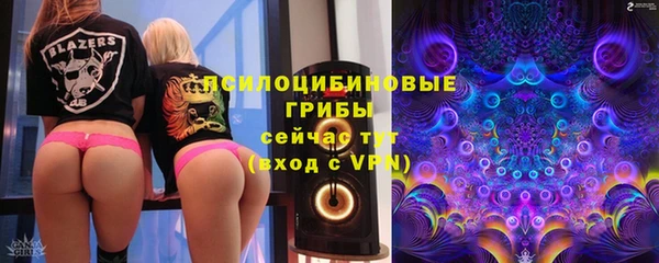прущая мука Новодвинск