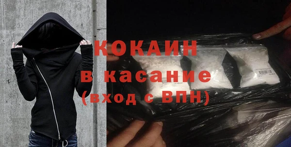 ешки Алексин